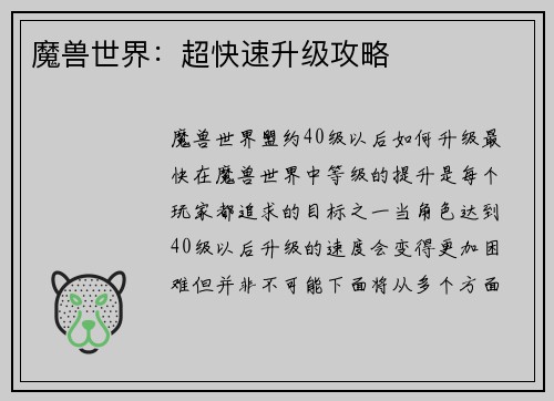 魔兽世界：超快速升级攻略